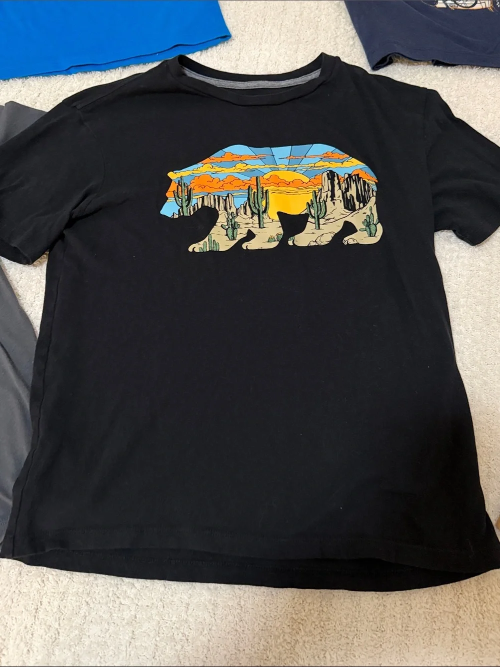 Old Navy Boys Outdoors Graphic Tee set